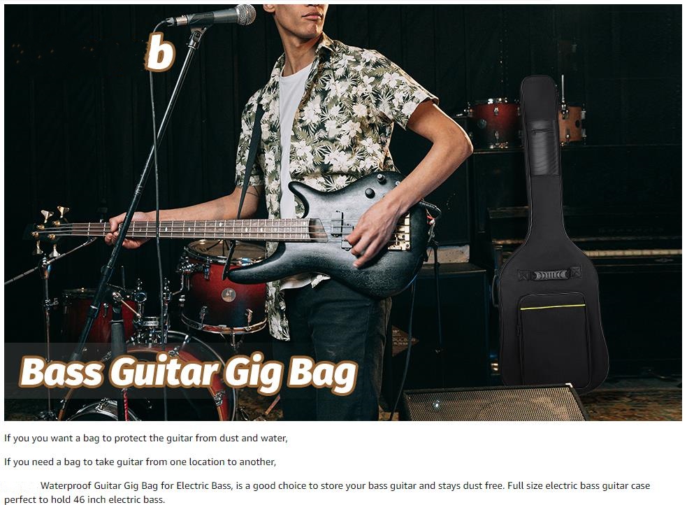 Electric Bass Guitar Case