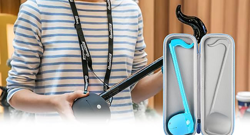 Instrumentālās mūzikas rotaļlietu glabāšana (7)